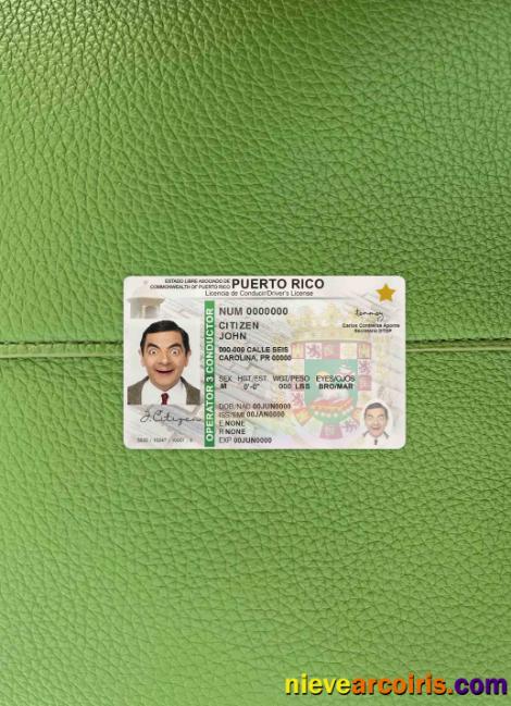 Puerto Rico driving license  photolook